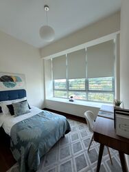 Emerald Hill Road (D9), Apartment #579049101